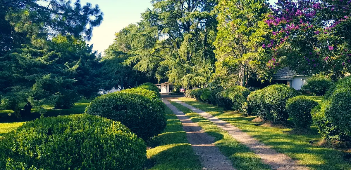 Camino entre árboles y arbustos en el complejo Loma Verde
