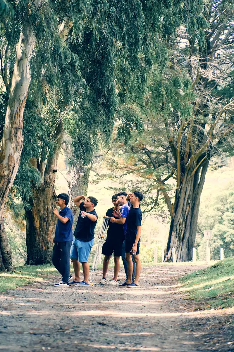 Jóvenes caminando bajo los árboles en un campamento anterior